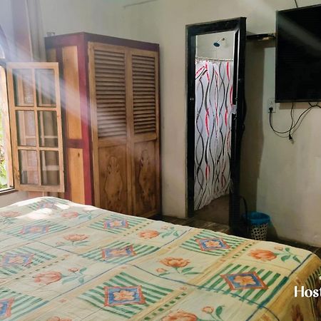 Hosteria Del Virrey - B&B San Cristóbal de Las Casas 外观 照片